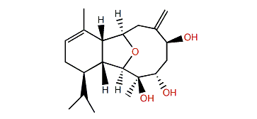 Cladieunicellin B